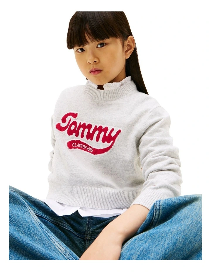 Varsity Intarsia Logo Jumper (8-16 Years) in Grey image 3