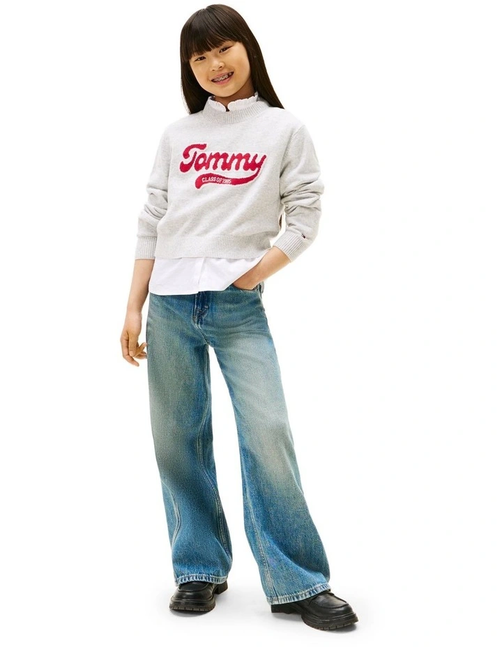 Varsity Intarsia Logo Jumper (8-16 Years) in Grey image 4