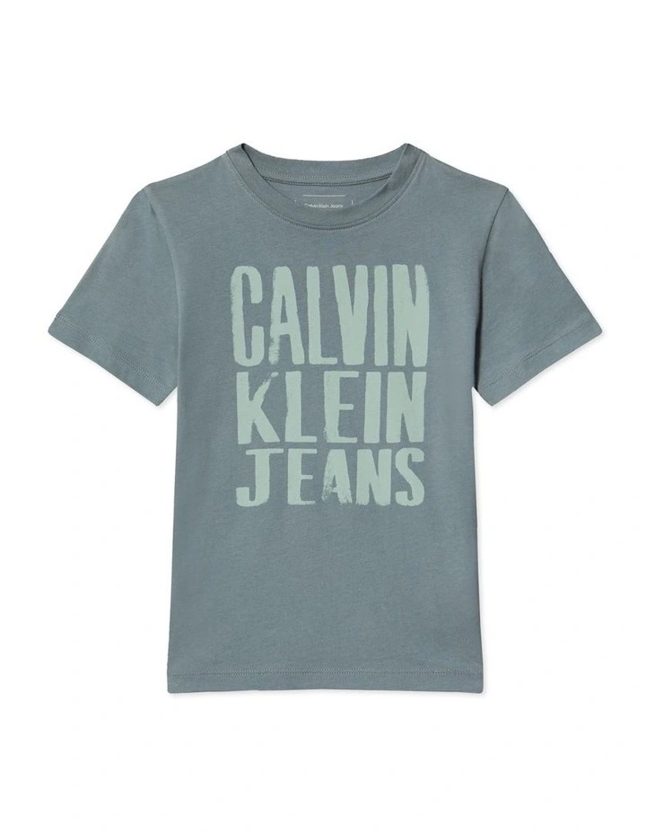 Slogan Graphic T-shirt (8-16 Years) in Grey image 1