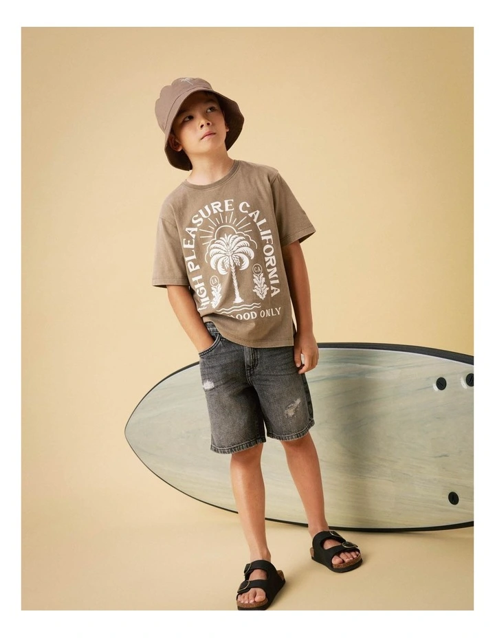 Jarvy Short Sleeved T-Shirt in Walnut image 4