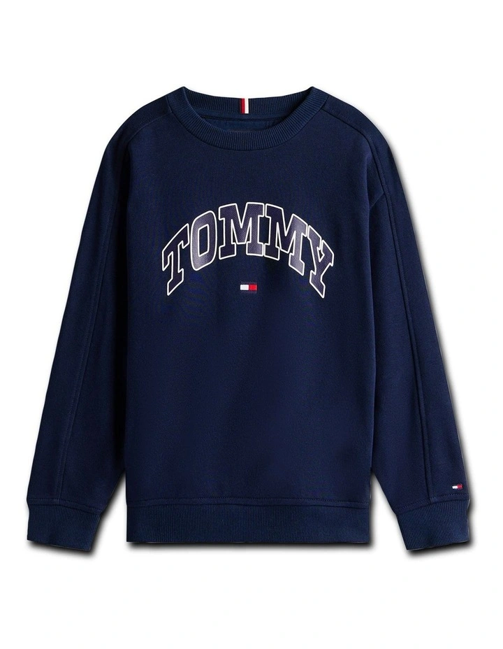 Boys 3-7 Varsity Logo Print Crew Neck Sweatshirt in Blue image 5