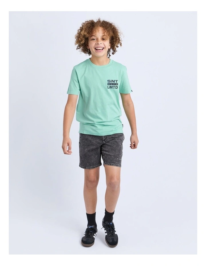 Gradient Tee (8-16 Years) in Green image 3
