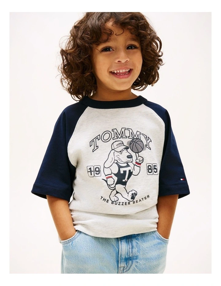 Boys Graphic Raglan Crew Neck T-Shirt (3-7 Years) in Grey image 1