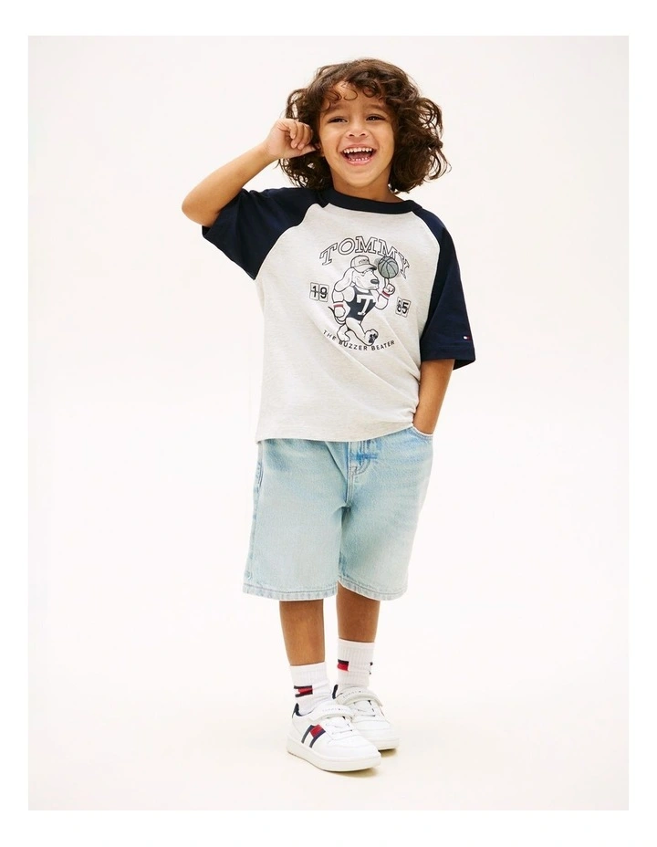 Boys Graphic Raglan Crew Neck T-Shirt (3-7 Years) in Grey image 3