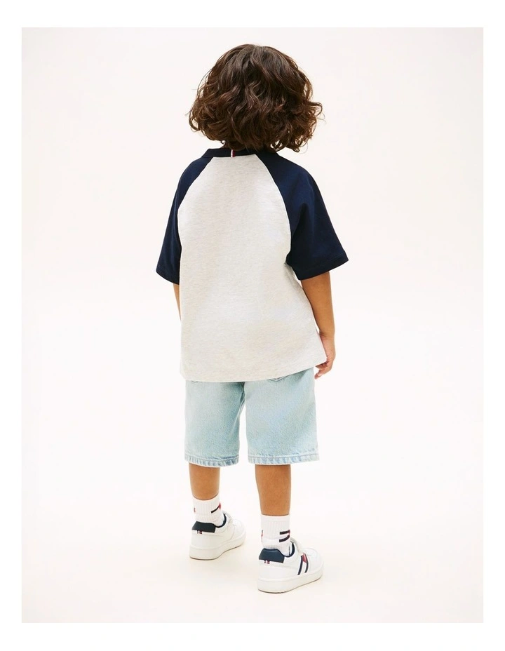 Boys Graphic Raglan Crew Neck T-Shirt (3-7 Years) in Grey image 4