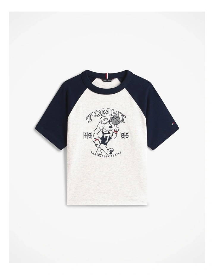 Boys Graphic Raglan Crew Neck T-Shirt (3-7 Years) in Grey image 5