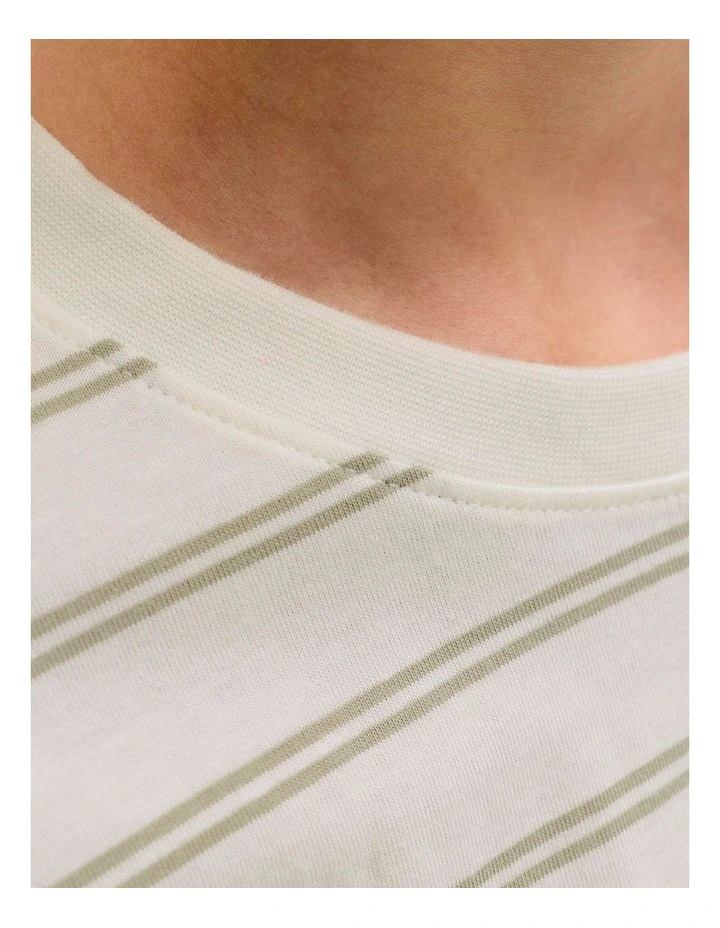 Norrebro Stripe Cotton T-Shirt in Light Green image 6