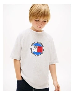 Boys Smiley Flag Logo Jersey T-Shirt (8-16 Years) in Grey