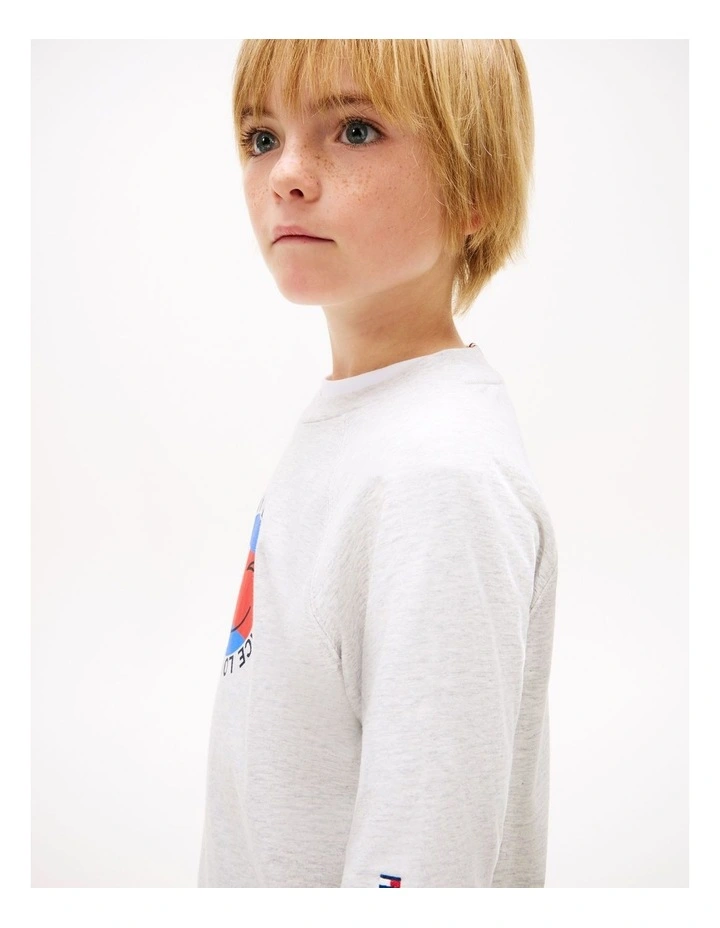 Boys Smiley Flag Logo Jersey T-Shirt (8-16 Years) in Grey image 2