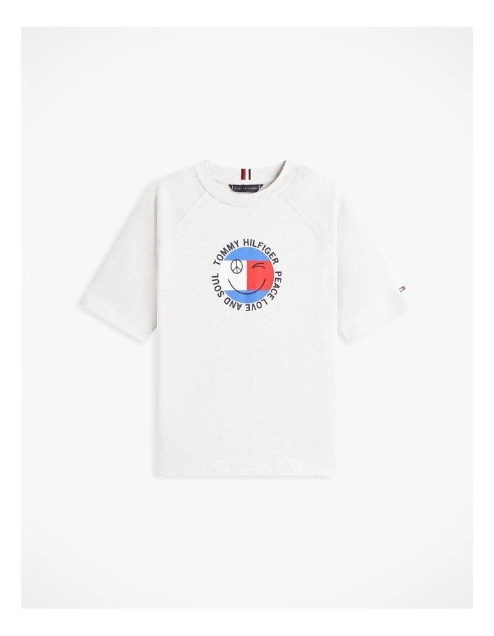 Boys Smiley Flag Logo Jersey T-Shirt (3-7 Years) in Grey image 5