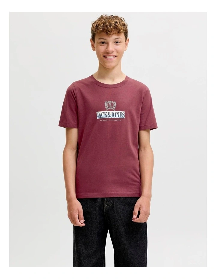 JORFREDERIKSBERG GRAPHIC BOX TEE SS JNR image 1