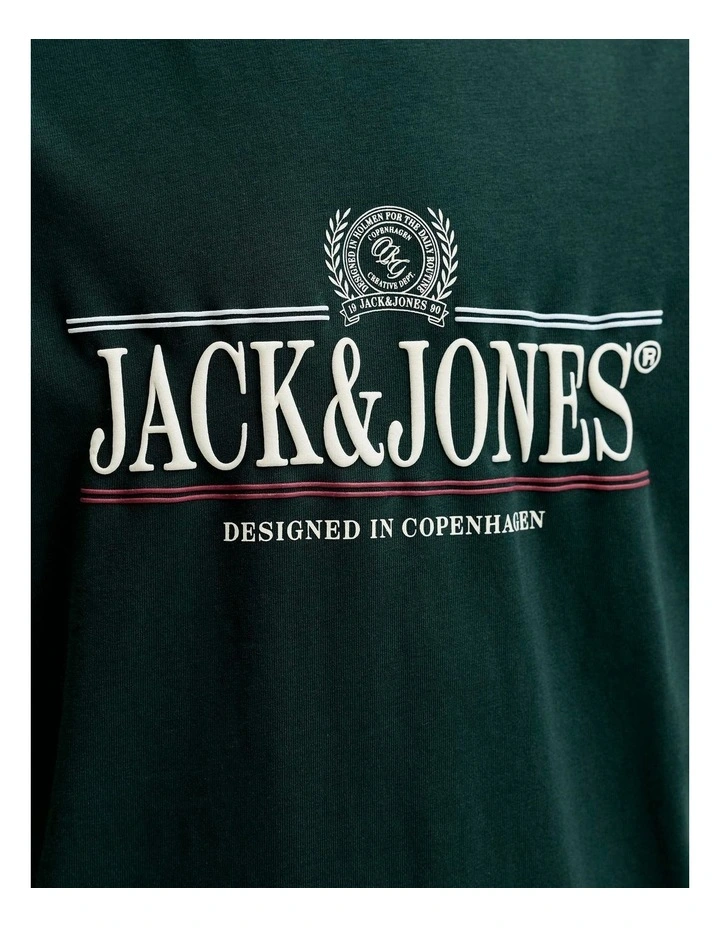 JORFREDERIKSBERG GRAPHIC BOX TEE SS JNR image 4