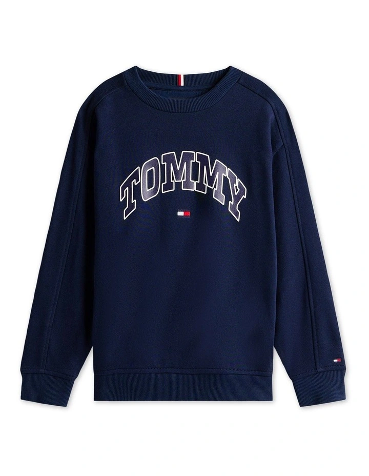 Boys 8-16 Varsity Logo Print Crew Neck Sweatshirt in Blue image 5