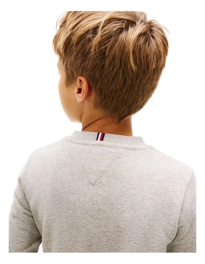 Faded Logo Print Crew Neck Sweatshirt (3-7 Years) in Grey image 3