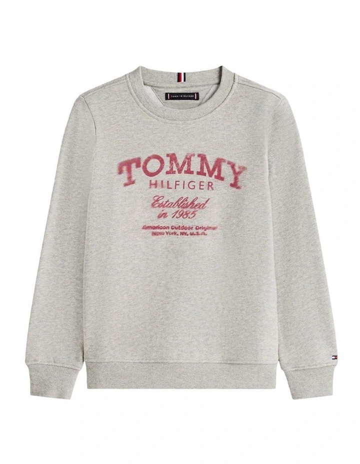 Faded Logo Print Crew Neck Sweatshirt (3-7 Years) in Grey image 5