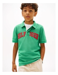Boys Regular Fit Textured Polo Shirt (8-16 Years) in Green