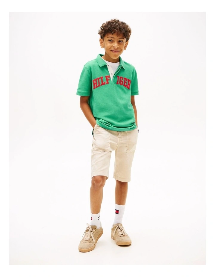 Boys Regular Fit Textured Polo Shirt (8-16 Years) in Green image 3