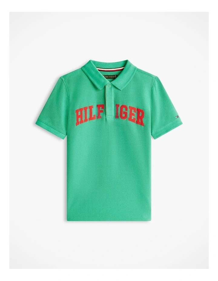 Boys Regular Fit Textured Polo Shirt (8-16 Years) in Green image 5