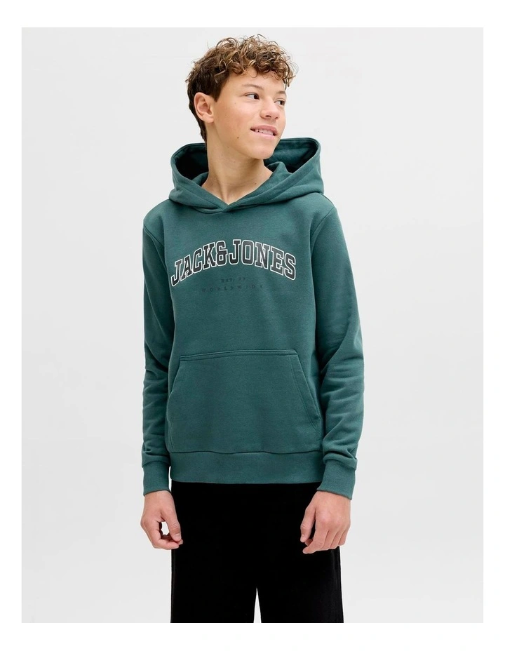 CALEB VARSITY SWEAT HOOD image 1