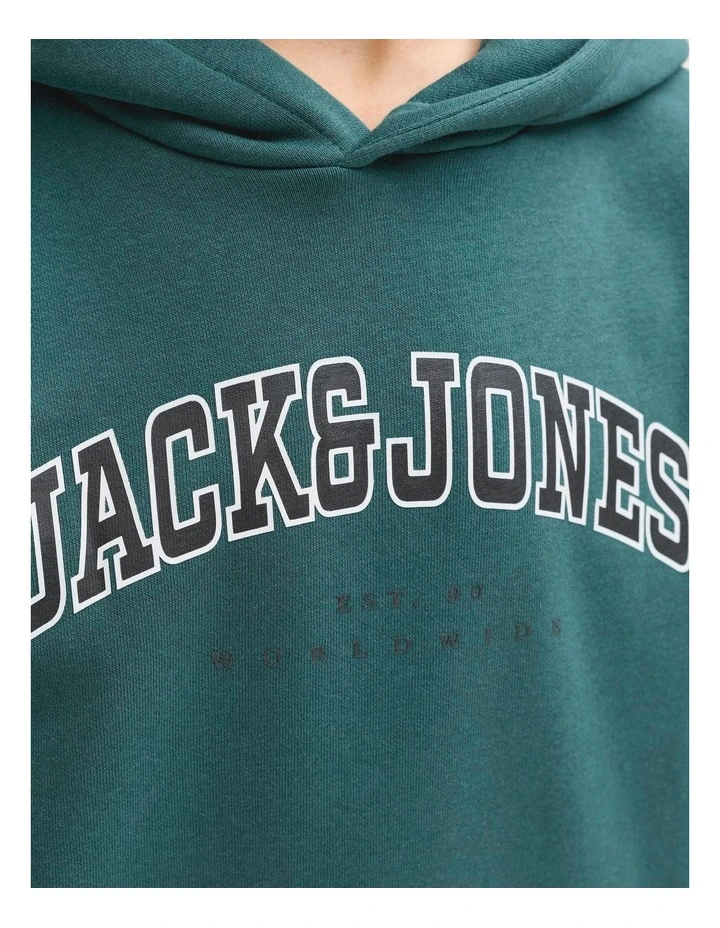 CALEB VARSITY SWEAT HOOD image 3