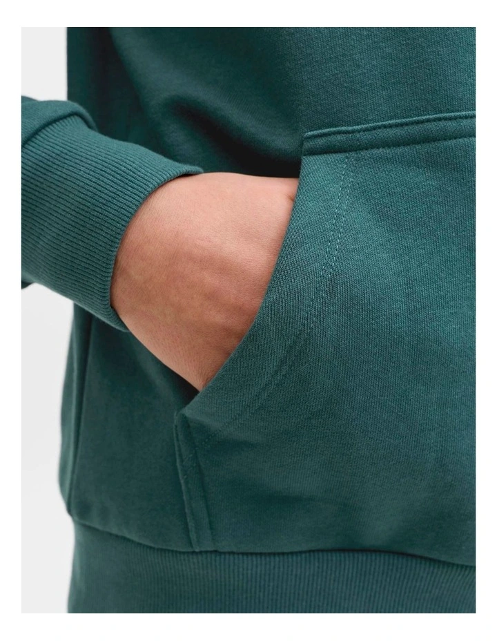 CALEB VARSITY SWEAT HOOD image 5