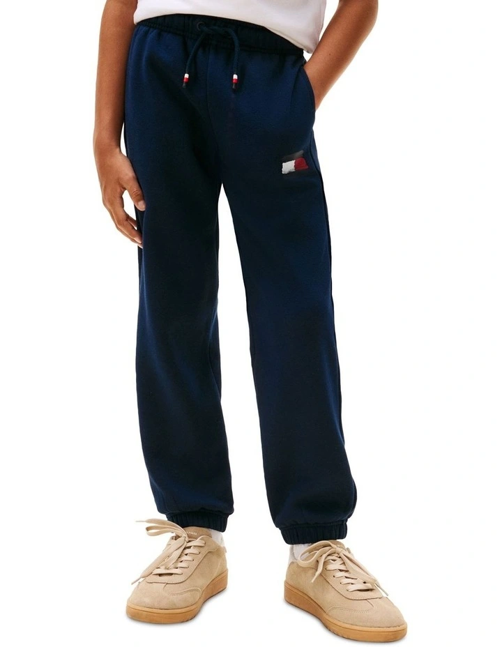 Boys 8-16 Hilfiger Flag Regular Fit Joggers in Blue image 3