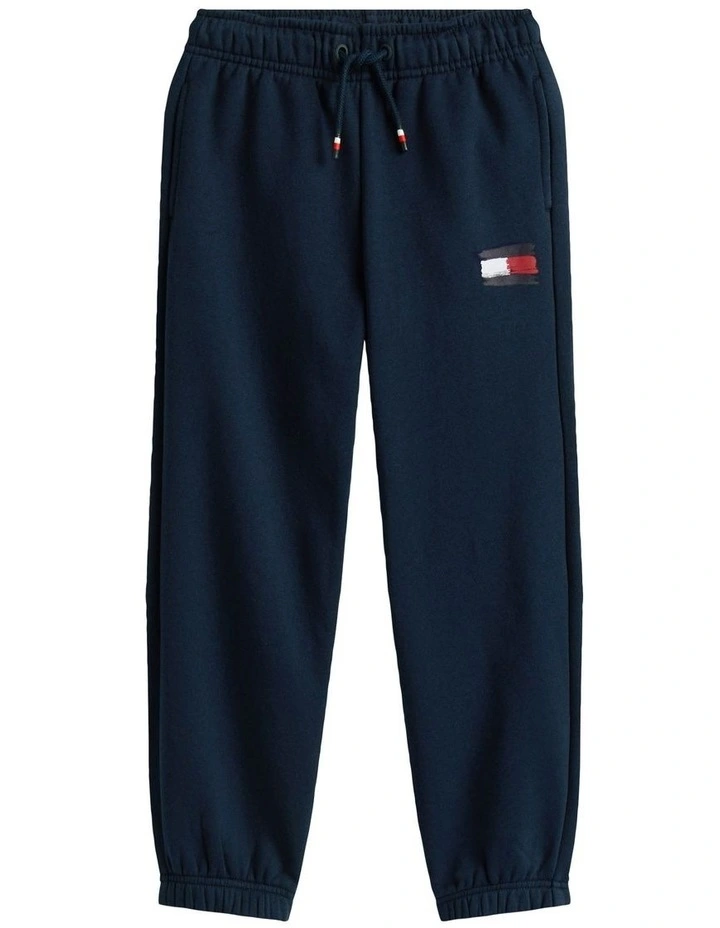 Boys 8-16 Hilfiger Flag Regular Fit Joggers in Blue image 5