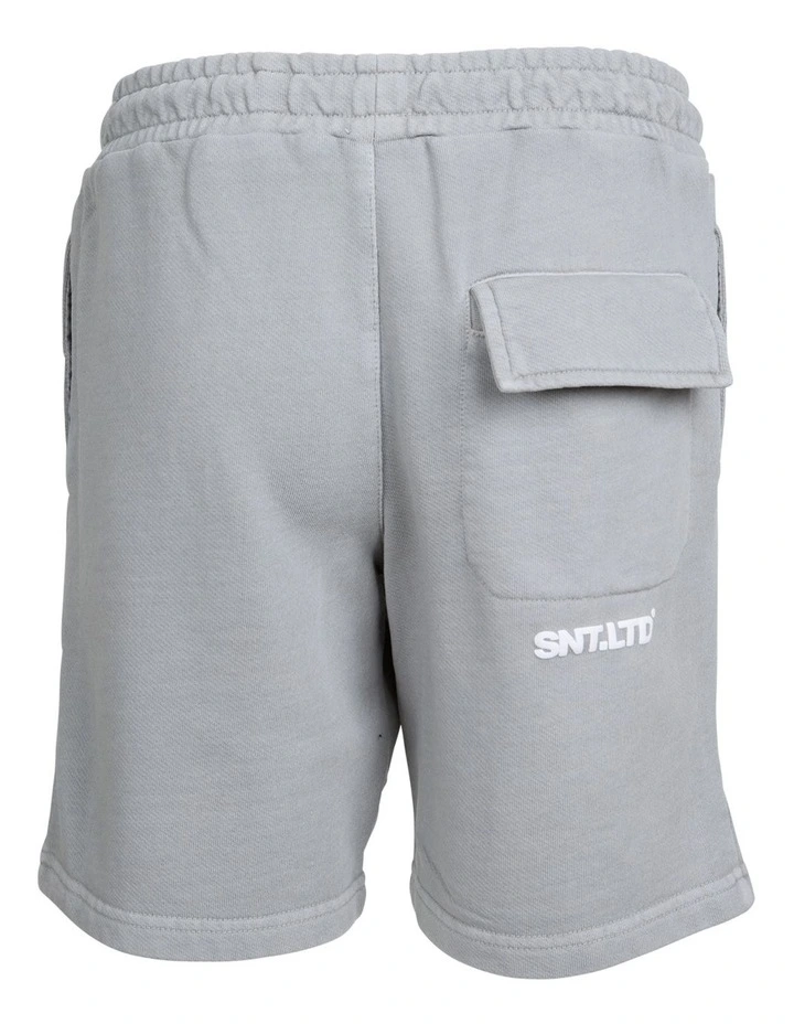 Podium Fleece Short (8-16 Years) in Grey image 4