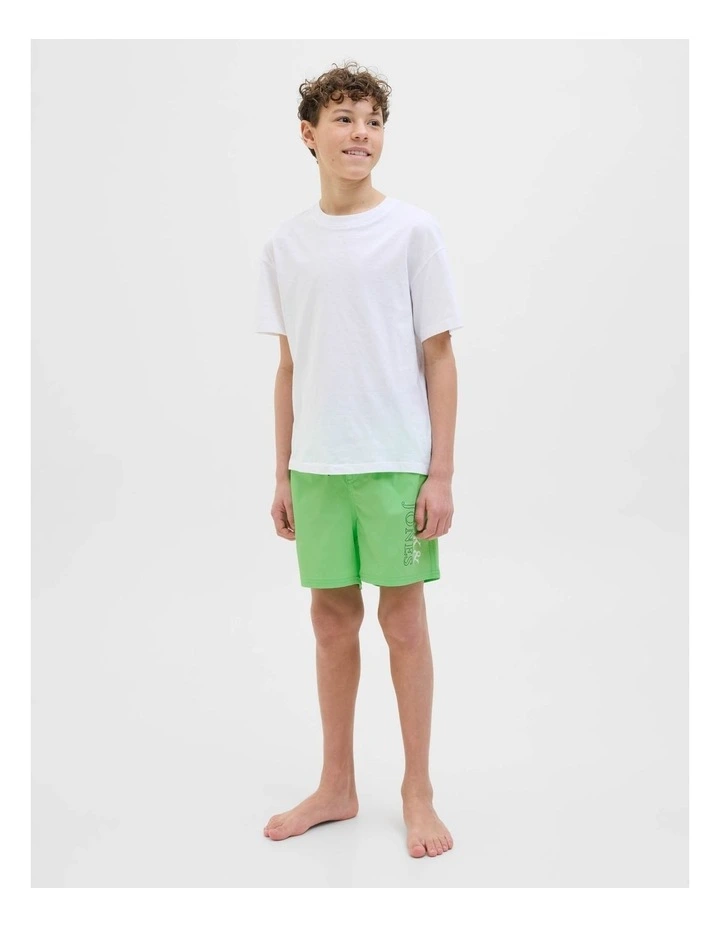 Jpstmaui Jjswim Double Logo Shorts in Summer Green image 1
