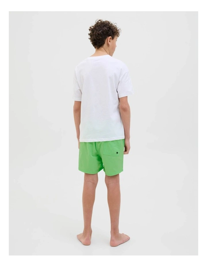 Jpstmaui Jjswim Double Logo Shorts in Summer Green image 2