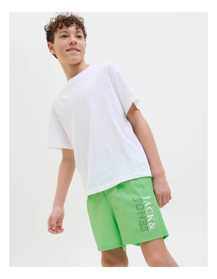 Jpstmaui Jjswim Double Logo Shorts in Summer Green image 3