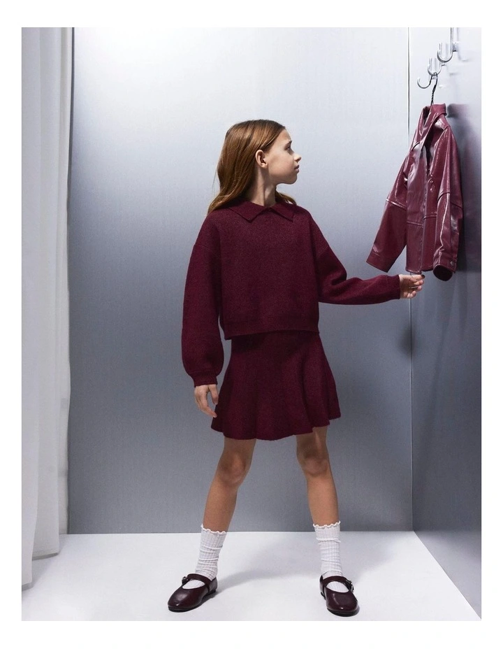 Sonia Knit Skirt in Burgundy image 1