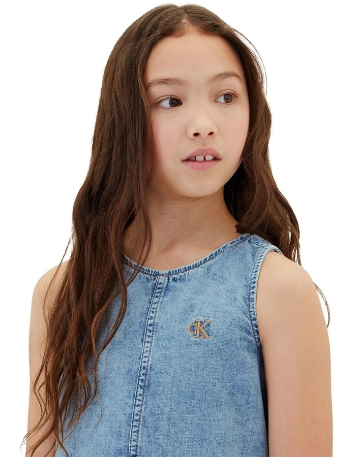Sleeveless Flared Denim Dress in Andrew Wash image 3