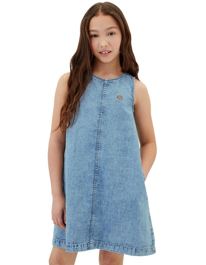 Sleeveless Flared Denim Dress in Andrew Wash image 4