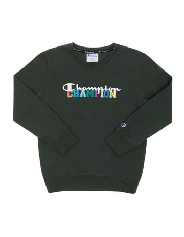 champion hoodie myer