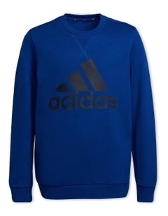 sweatshirt for boys