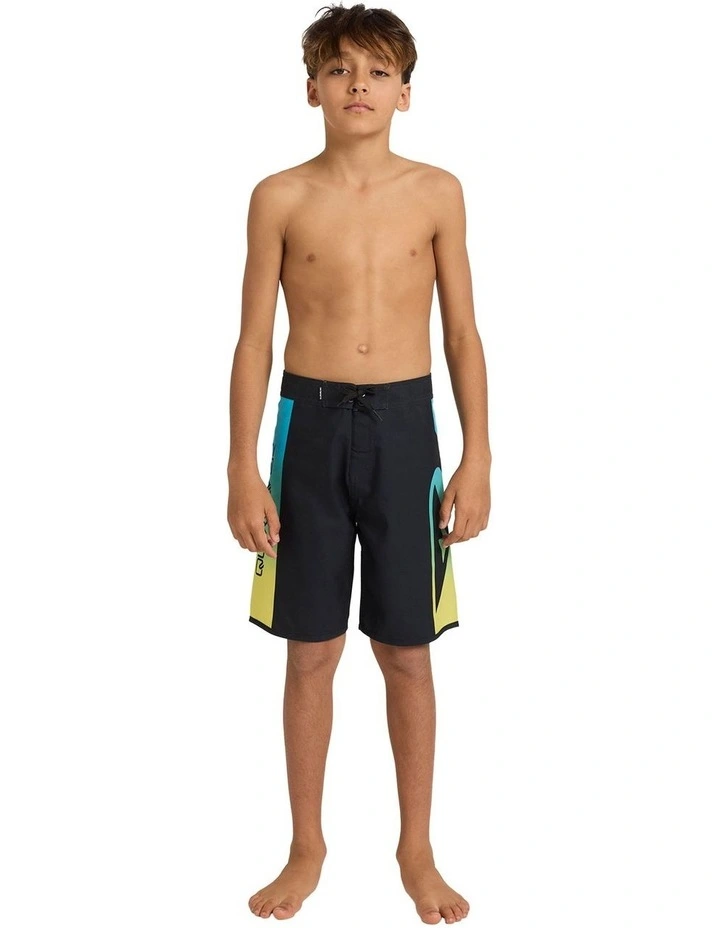 Everyday 17 Inch Boardshorts in Black Holmes image 5