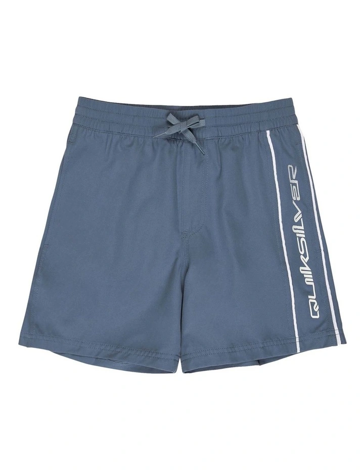 Everyday Volley Swim Shorts in Blue image 1