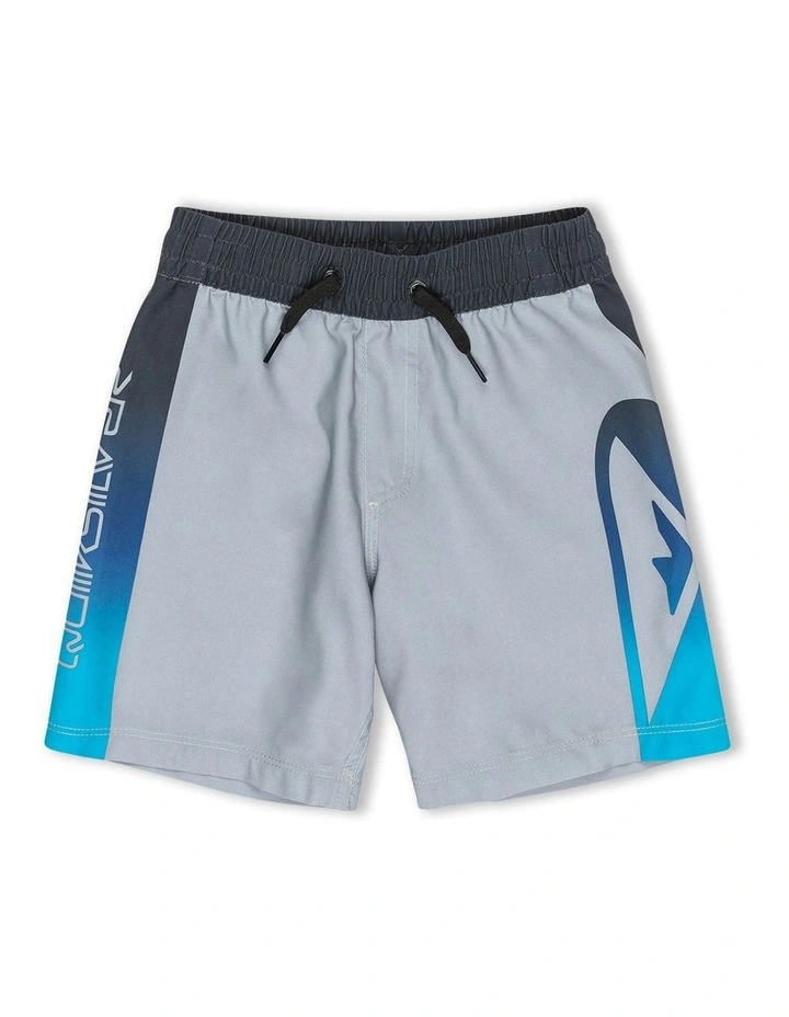 Everyday Volley Swim Shorts in Grey image 1