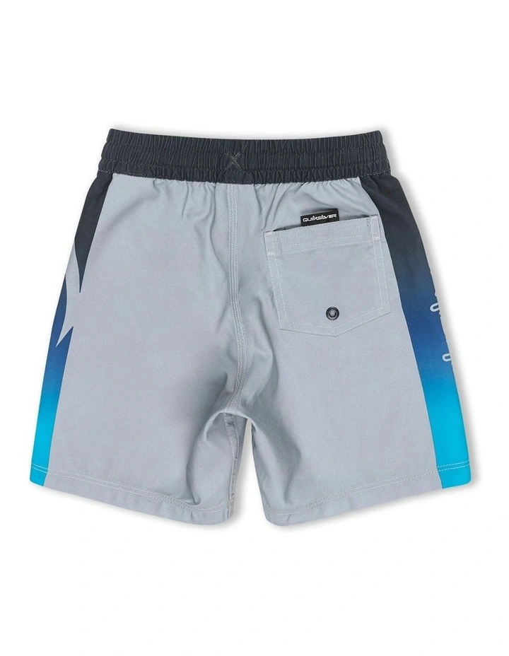 Everyday Volley Swim Shorts in Grey image 2