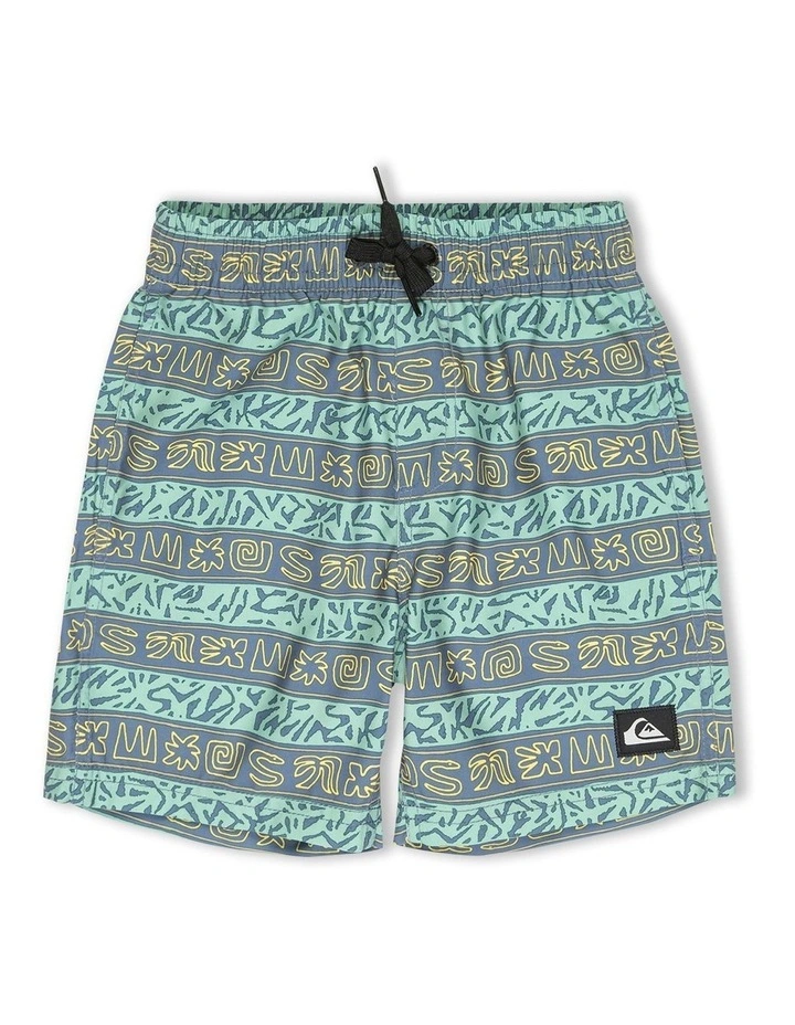 Everyday Volley Swim Shorts in Blue image 1