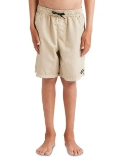 All Day Overdye Layback 16 Boardshorts in Brown