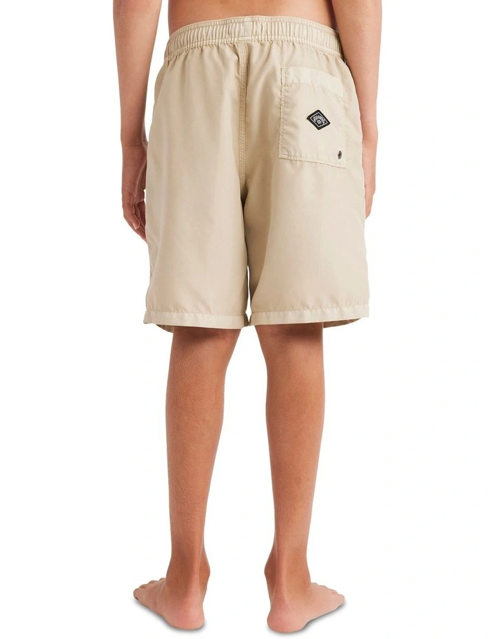 All Day Overdye Layback 16 Boardshorts in Brown image 2