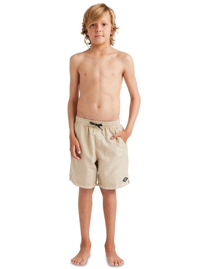 All Day Overdye Layback 16 Boardshorts in Brown image 5