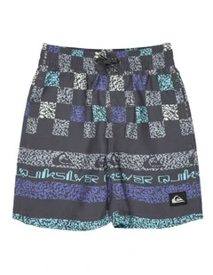 Everyday Volley 13 Swim Shorts in Grey