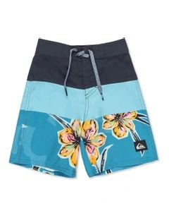 Everyday Panel 17 Inch Boardshort