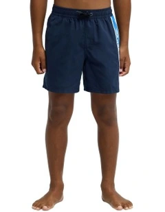Everyday Cliker 15 Inch Swim Shorts in Navy