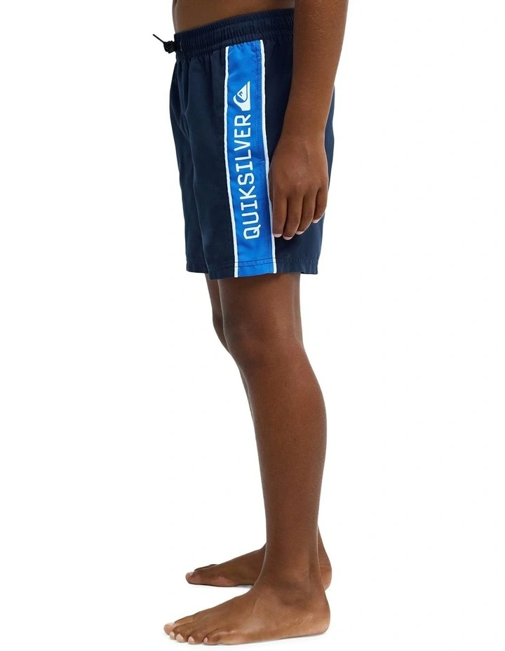 Everyday Cliker 15 Inch Swim Shorts in Navy image 3