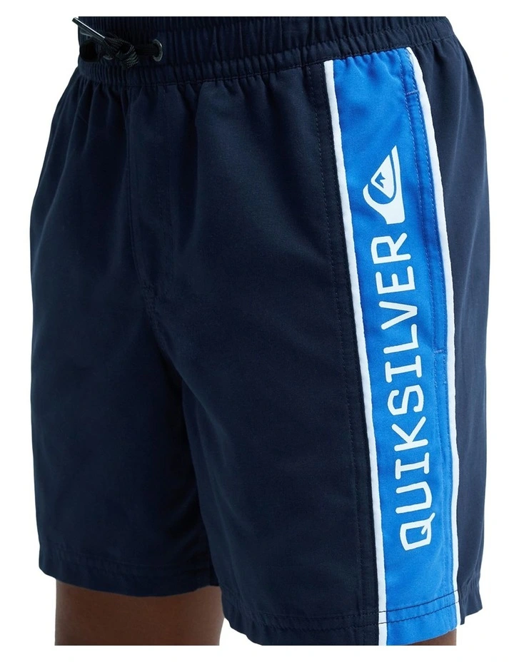 Everyday Cliker 15 Inch Swim Shorts in Navy image 4