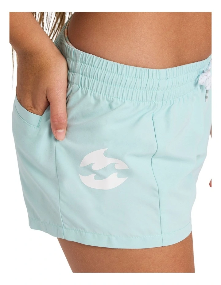 Sun Chaser Boardshorts image 4